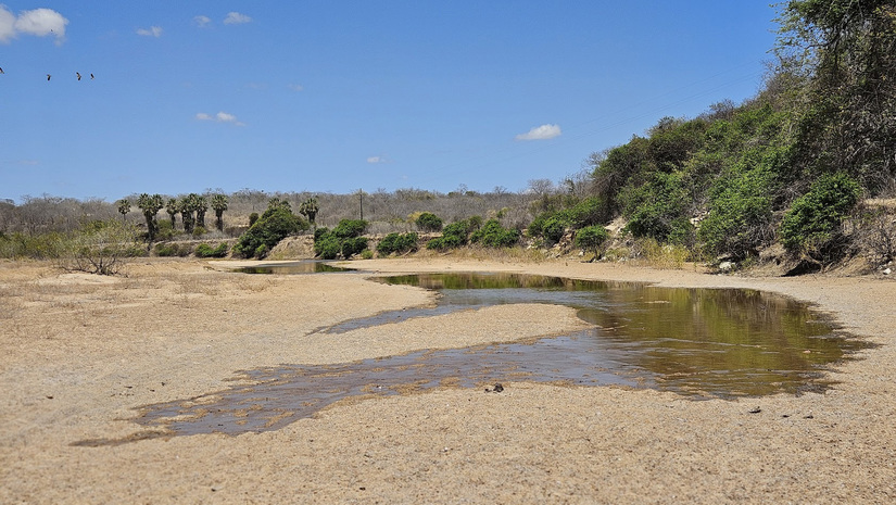 Imagem 1 - A água liberada pelas comportas da Barragem de Santa Cruz, em Apodi-RN, no dia 3 de outubro, está chegando lentamente em território de Governador Dix-sept Rosado, onde nunca chegou. Já quem mora em Lagoa de Pau e São João da Varzea, a notícia chega com esperança, de que a água também vai chegar para permitir a sobrevivência de seus cultivos e dos animais. Acompanhamos a chegada da água em território de Governador, precisamente na comunidade do Maxixe, onde os agricultores convivem com o rio seco há vários meses. Imagem 1 - A água liberada pelas comportas da Barragem de Santa Cruz, em Apodi-RN, no dia 3 de outubro, está chegando lentamente em território de Governador Dix-sept Rosado, onde nunca chegou. Já quem mora em Lagoa de Pau e São João da Varzea, a notícia chega com esperança, de que a água também vai chegar para permitir a sobrevivência de seus cultivos e dos animais. Acompanhamos a chegada da água em território de Governador, precisamente na comunidade do Maxixe, onde os agricultores convivem com o rio seco há vários meses.