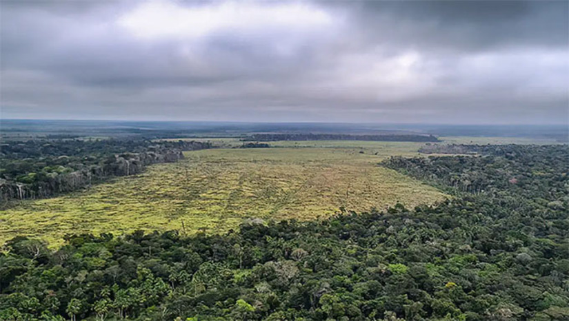 Imagem 1 - Organizações socioambientais classificaram como um grave retrocesso a decisão do Congresso de derrubar a maior parte dos vetos do presidente Lula à nova Lei Geral do Licenciamento Ambiental. Instituições como IPAM, Arayara, REPAM-Brasil, Conservação Internacional e Observatório do Clima afirmam que a medida enfraquece o controle ambiental, aumenta riscos à população, ameaça povos indígenas e tradicionais e pode acelerar o colapso de biomas brasileiros. Imagem 1 - Organizações socioambientais classificaram como um grave retrocesso a decisão do Congresso de derrubar a maior parte dos vetos do presidente Lula à nova Lei Geral do Licenciamento Ambiental. Instituições como IPAM, Arayara, REPAM-Brasil, Conservação Internacional e Observatório do Clima afirmam que a medida enfraquece o controle ambiental, aumenta riscos à população, ameaça povos indígenas e tradicionais e pode acelerar o colapso de biomas brasileiros.