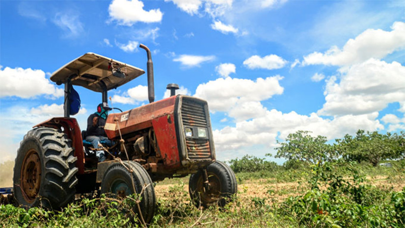 Imagem 1 -   O evento de lançamento do Programa Semear ocorrerá no Parque de Exposições Armando Buá, a partir das 8h30. O programa fornece aos pequenos agricultores familiares cadastrados, óleo diesel para o corte de terra na época do período chuvoso em Mossoró.  Os agricultores cadastrados recebem ordens de entrega do óleo diesel, com prazos definidos para retirada e comprovação do corte de terra. No ano passado, mais de 4,3 mil agricultores foram beneficiados com o programa.
