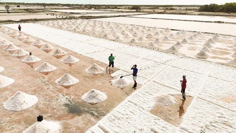 Imagem 1 - A Prefeitura de Grossos, em parceria com a Ecosafety Consultoria e o Sebrae, concluiu um projeto de licenciamento ambiental para produtores de sal do município, resultando na emissão de mais de 50 licenças ambientais. A ação contou com o apoio da Secretaria de Desenvolvimento e Meio Ambiente, responsável pelas Certidões de Uso e Ocupação de Solo, que já emitiu mais de 100 declarações desde 2025, agilizando a regularização. Imagem 1 - A Prefeitura de Grossos, em parceria com a Ecosafety Consultoria e o Sebrae, concluiu um projeto de licenciamento ambiental para produtores de sal do município, resultando na emissão de mais de 50 licenças ambientais. A ação contou com o apoio da Secretaria de Desenvolvimento e Meio Ambiente, responsável pelas Certidões de Uso e Ocupação de Solo, que já emitiu mais de 100 declarações desde 2025, agilizando a regularização.