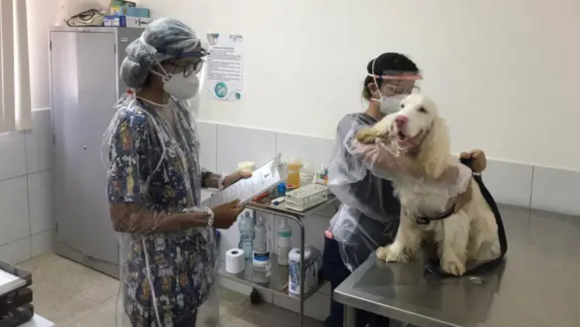   O Hospital Veterinário da Ufersa (Hovet) modernizou seu sistema e agora realiza o agendamento de consultas para cães e gatos exclusivamente de forma online pelo seu site institucional. Os tutores devem consultar a disponibilidade de vagas na página e preencher o formulário sempre visando o atendimento para o dia útil seguinte.