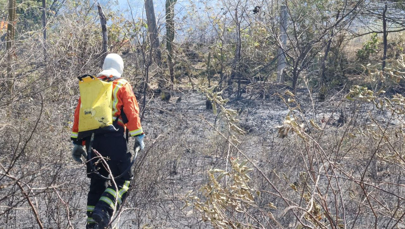   Média de incidentes florestais salta de um caso diário em julho para quatro ocorrências a cada 24 horas em setembro. Mossoró concentra ampla maioria dos chamados e mobiliza força-tarefa contra práticas irregulares de limpeza.  Autoridades alertam que atear fogo para eliminar descarte de resíduos é crime ambiental sujeito a denúncia via 190.