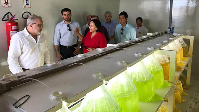 Imagem 1 -  Fátima e Prates conhecem a maior produtora de camarão do RN